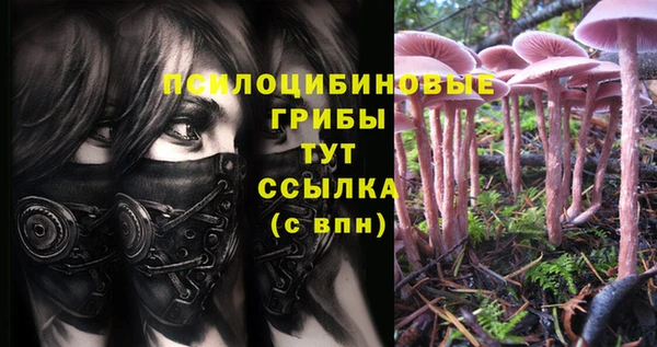 mdma Верея