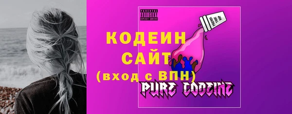 мдпв Верхний Тагил