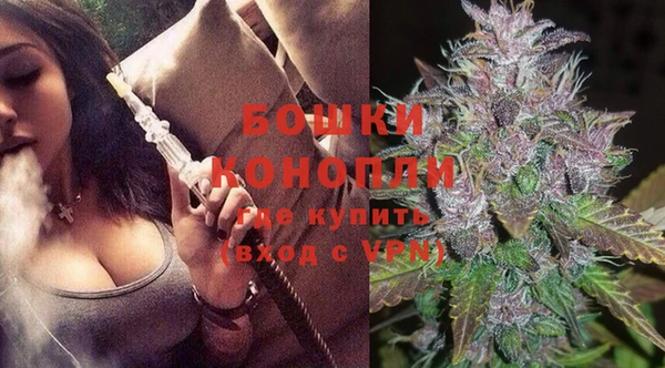 мдпв Верхний Тагил